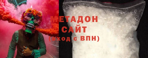 индика Новозыбков