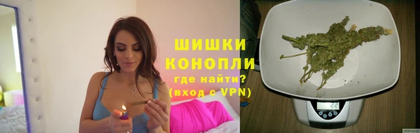 прущие грибы Аркадак