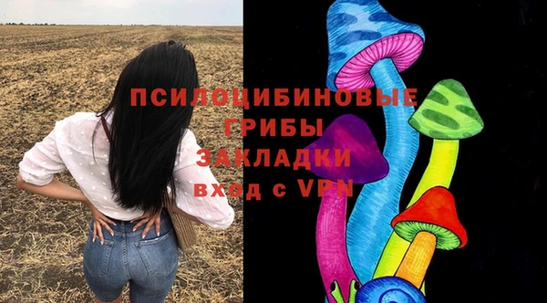 бошки Арсеньев