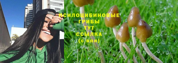 синтетический гашиш Армянск