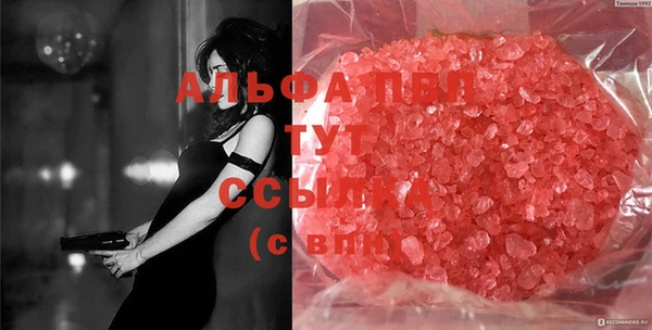 прущие грибы Аркадак